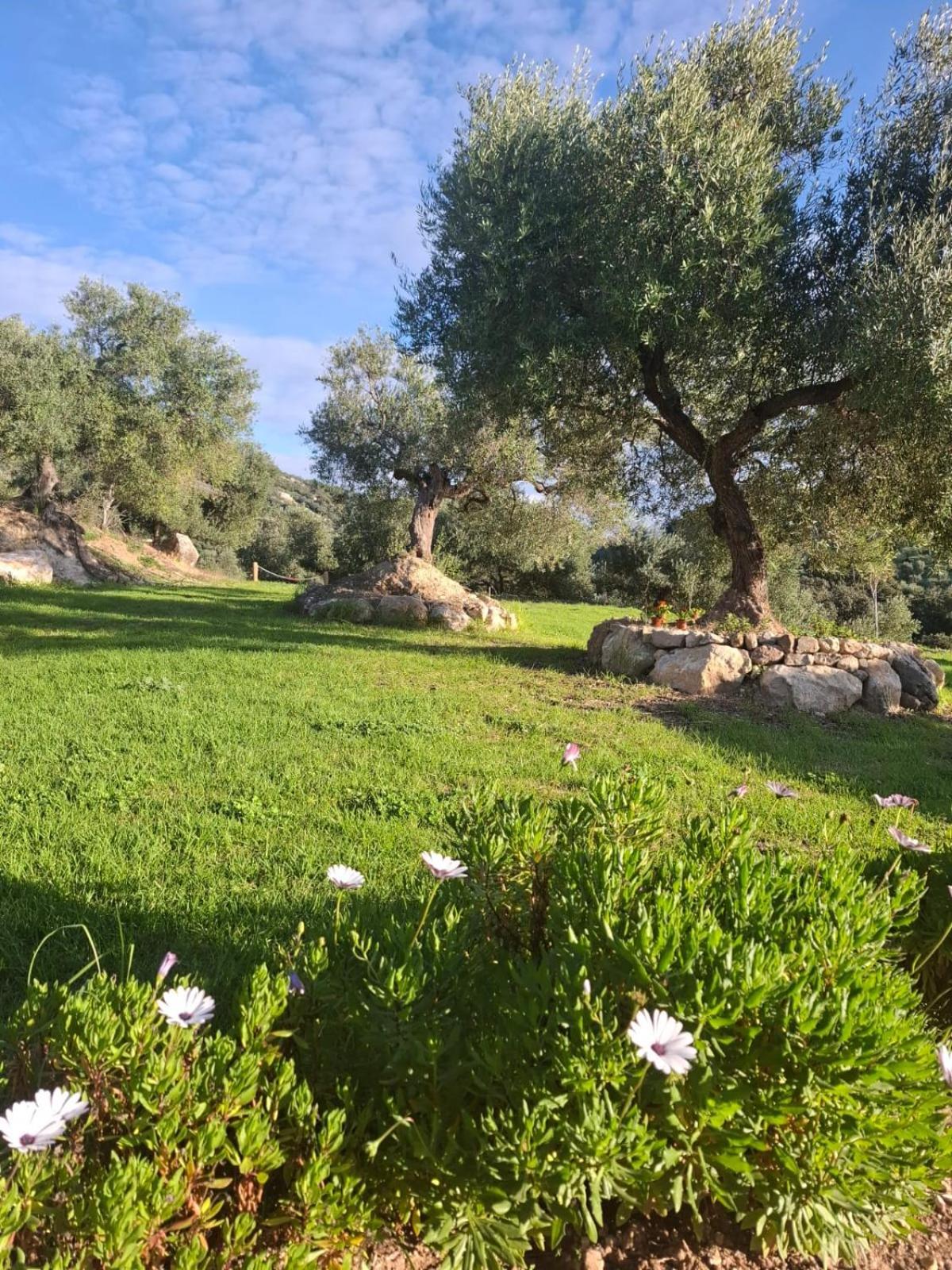 Hacienda Molino Nuevo Vila Algodonales Exterior foto